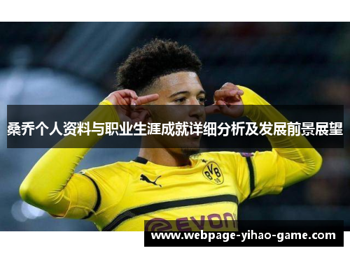 桑乔个人资料与职业生涯成就详细分析及发展前景展望
