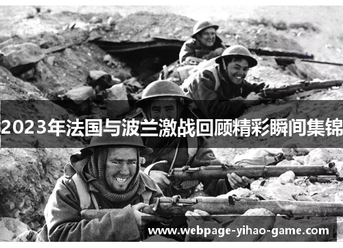 2023年法国与波兰激战回顾精彩瞬间集锦