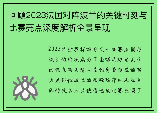 回顾2023法国对阵波兰的关键时刻与比赛亮点深度解析全景呈现