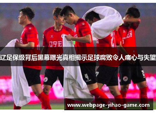 辽足保级背后黑幕曝光真相揭示足球腐败令人痛心与失望